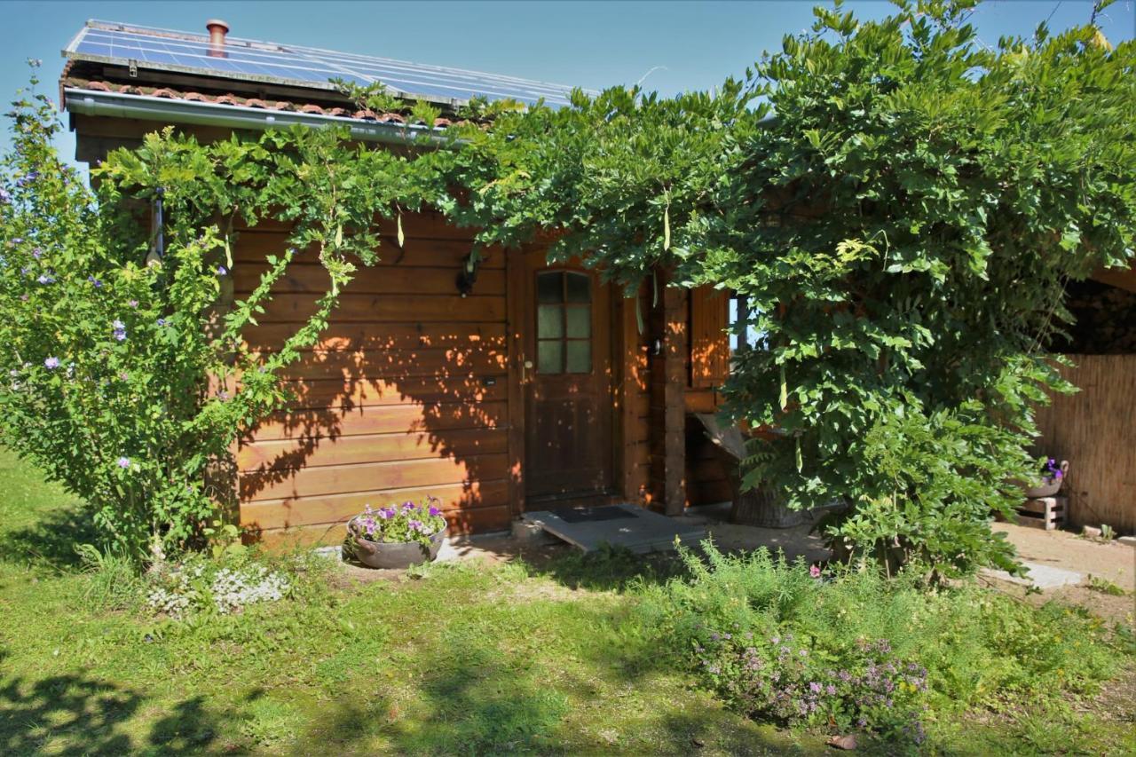 Norwegisches Blockhaus Villa Bad Muenstereifel Eksteriør bilde